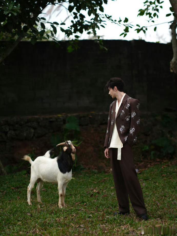 陈星旭金鹅奖出图陈星旭不卷了去农场当主理人了 这组大片太治愈！陈星旭穿绣花西装在