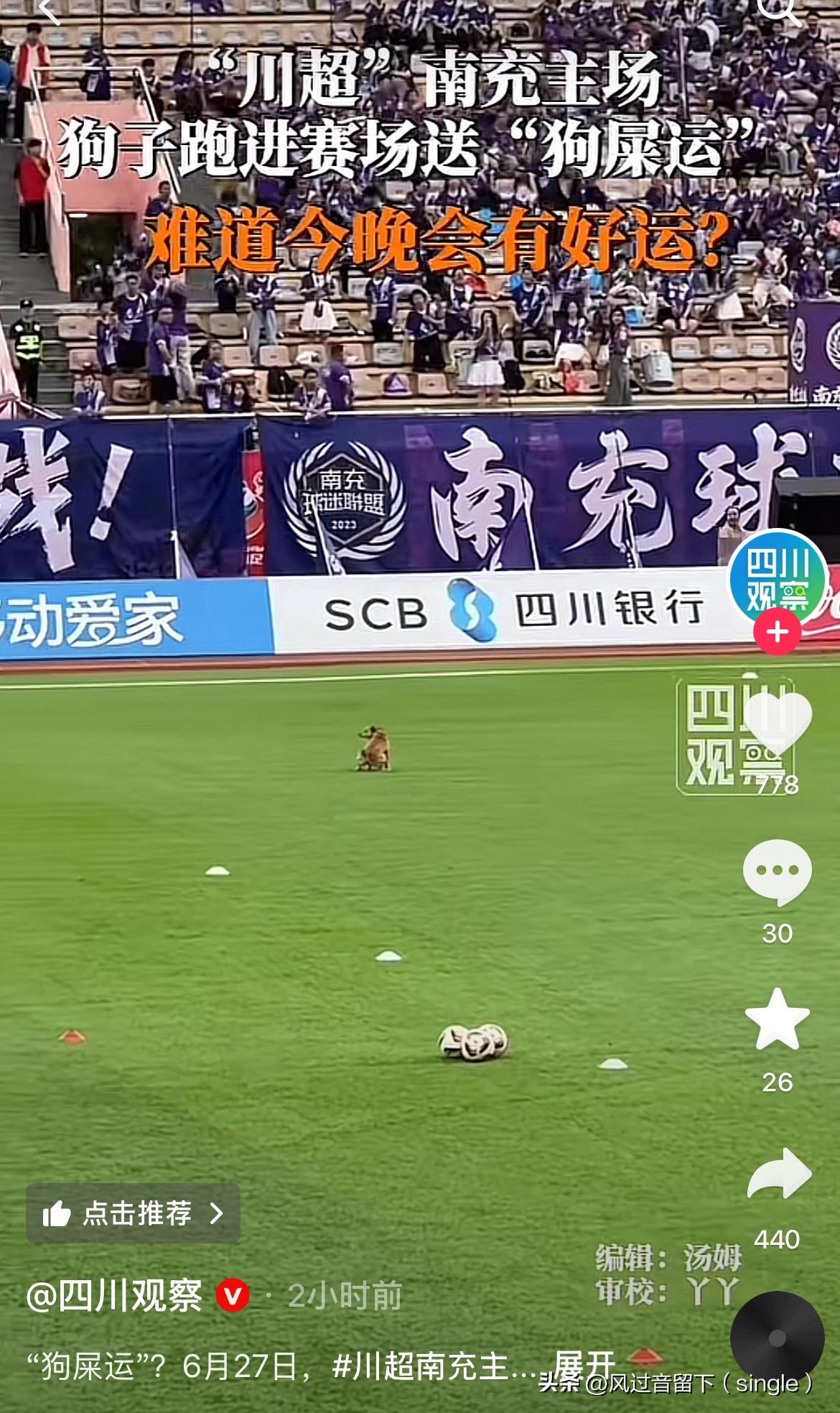 进不进球就看踩得上这个了
6月27日，“川超”南充主场，要比赛了，突然一条狗跑到