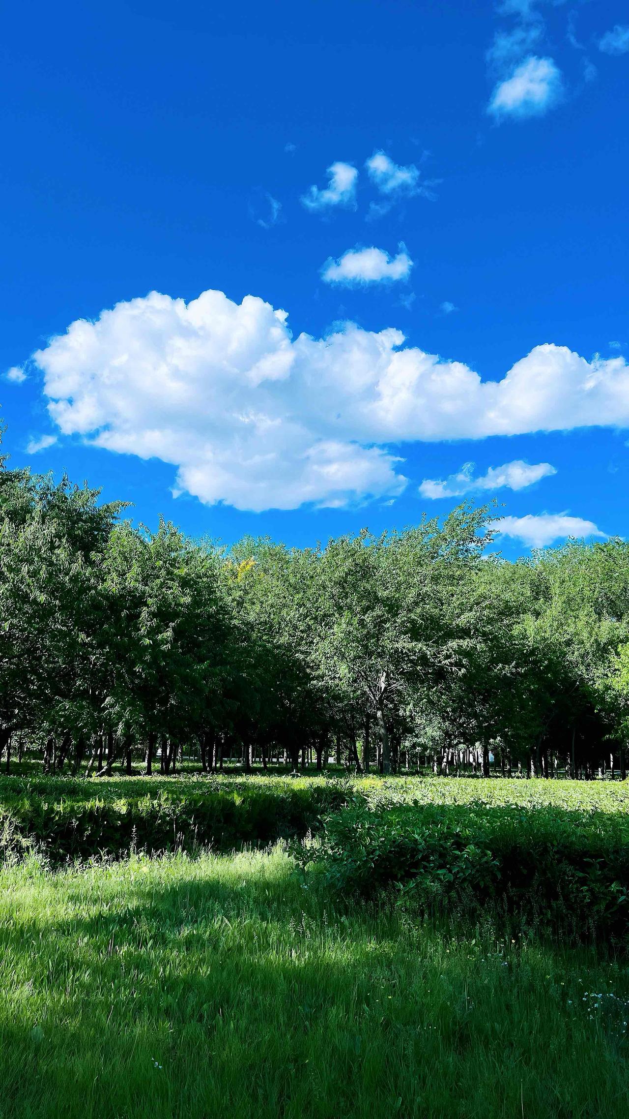 生活中从不缺少美，缺少的是发现美的眼睛，而随手拍就是记录美的绝佳方式。随便一拍，