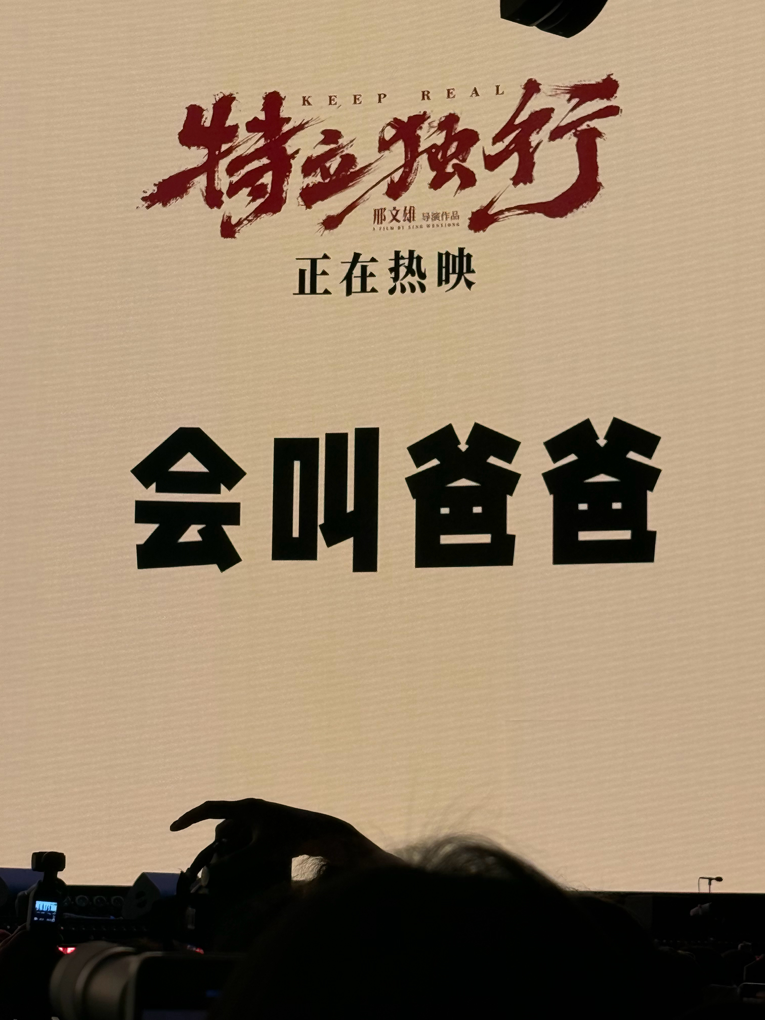 老白鸽认领了。 