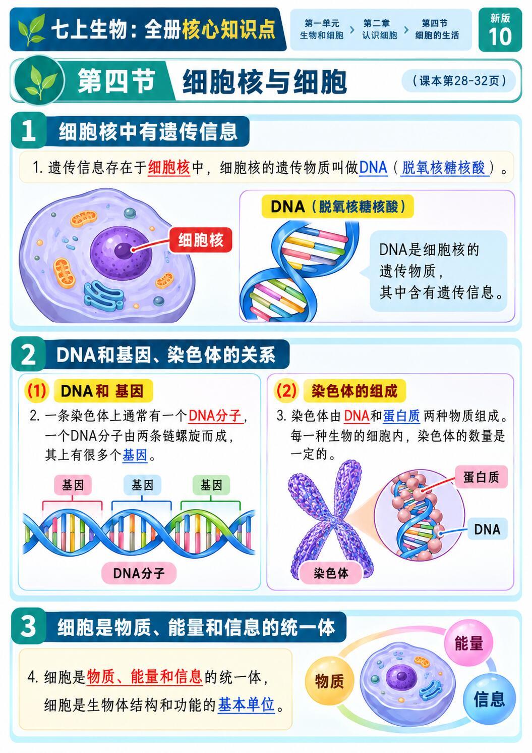 七年级上册生物期中，必背清单先收好