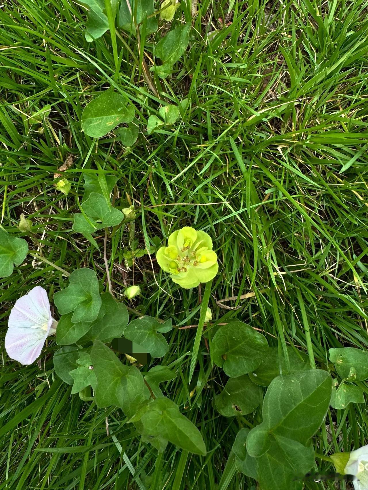 【小对联】
上：……？
下：违心。