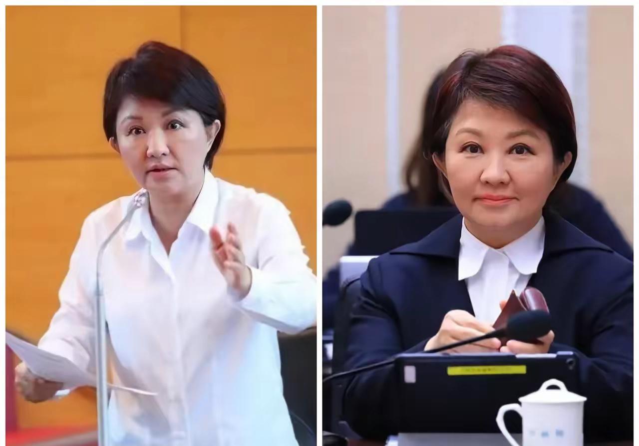 卢秀燕前脚刚访欧回台，后脚就对着民进党当局开炮，痛骂他们封杀海峡论坛是“封杀农民