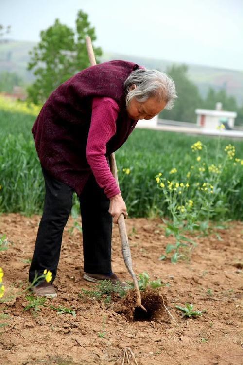 《87岁老娘非要下地，拽着她的胳膊那一刻，我哭了…》
 
今天中午回家吃饭，刚进