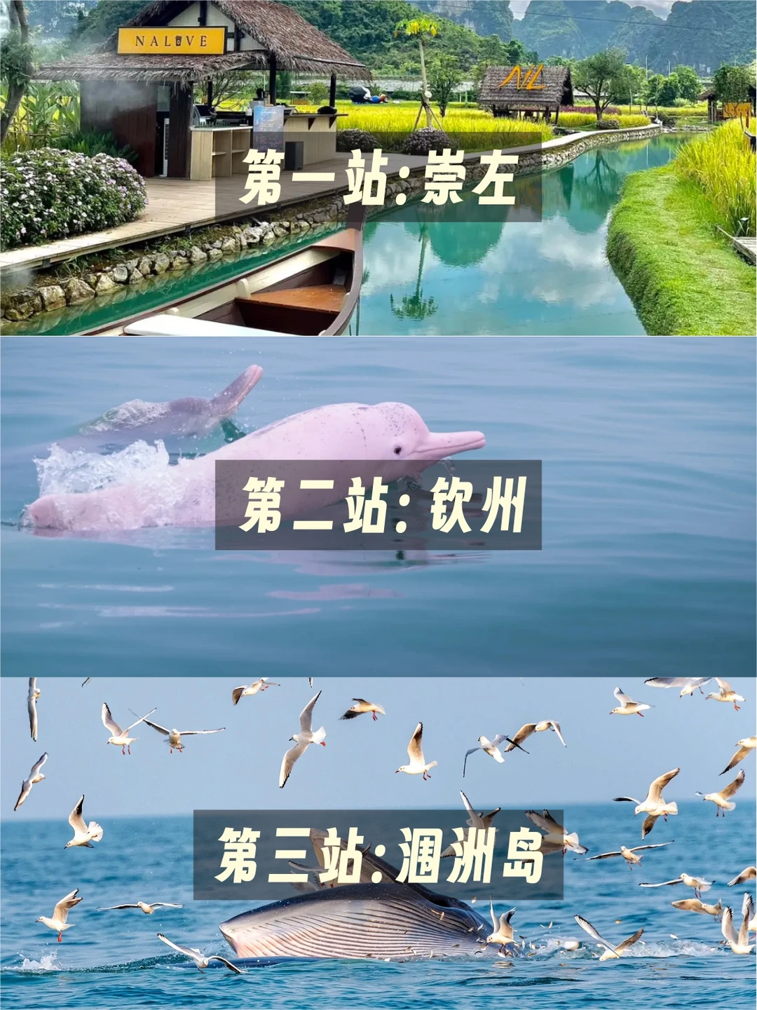 宝藏路线🔥崇左+北海，冬季带娃太香了！