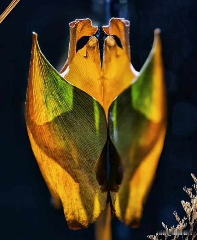 要买科技股，只买科技股吗？国庆假期全球股市缓步爬升，黄金大涨创出新高，铜升势凌厉