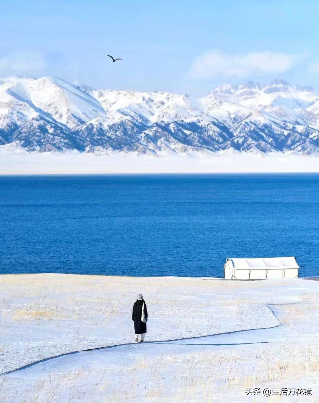 利欧股份因最近涨幅过快(4个涨停板)被关进了小黑屋(停牌)，而本人持有的再升科技