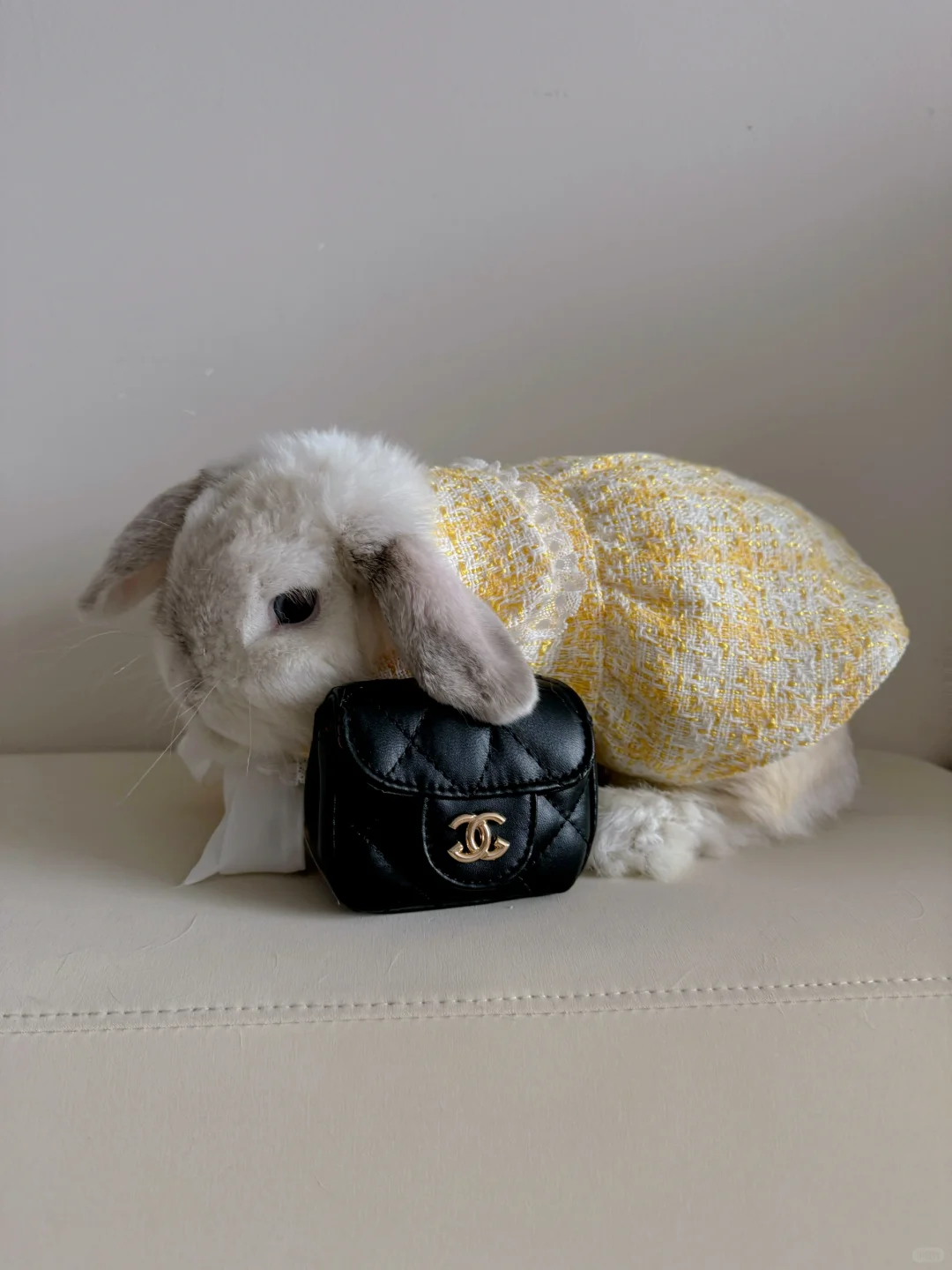 发现妈妈送的Chanel是假货该怎么办？