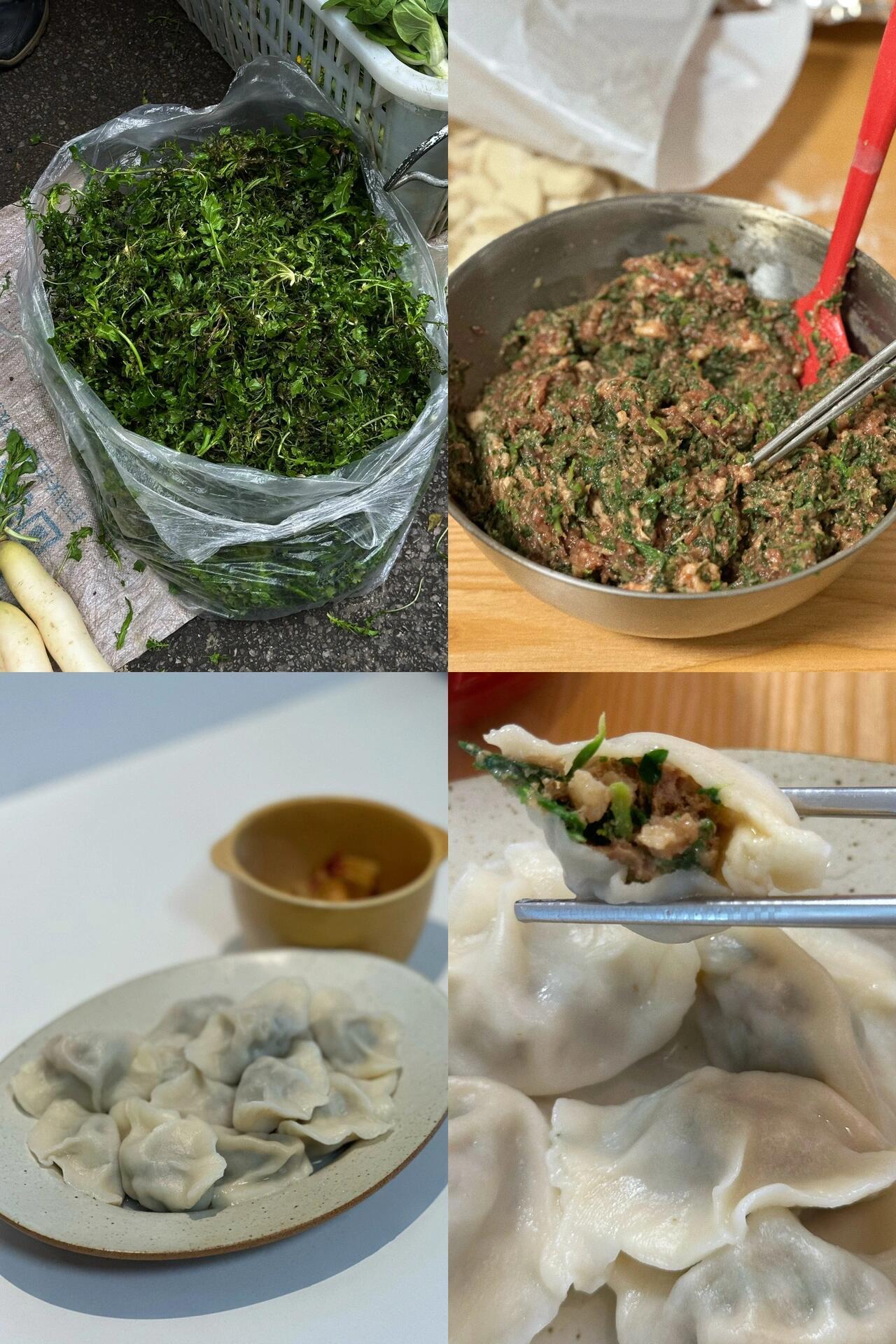 让包子饺子都能一口爆汤汁的秘诀｜荠菜 春天的第一口鲜 