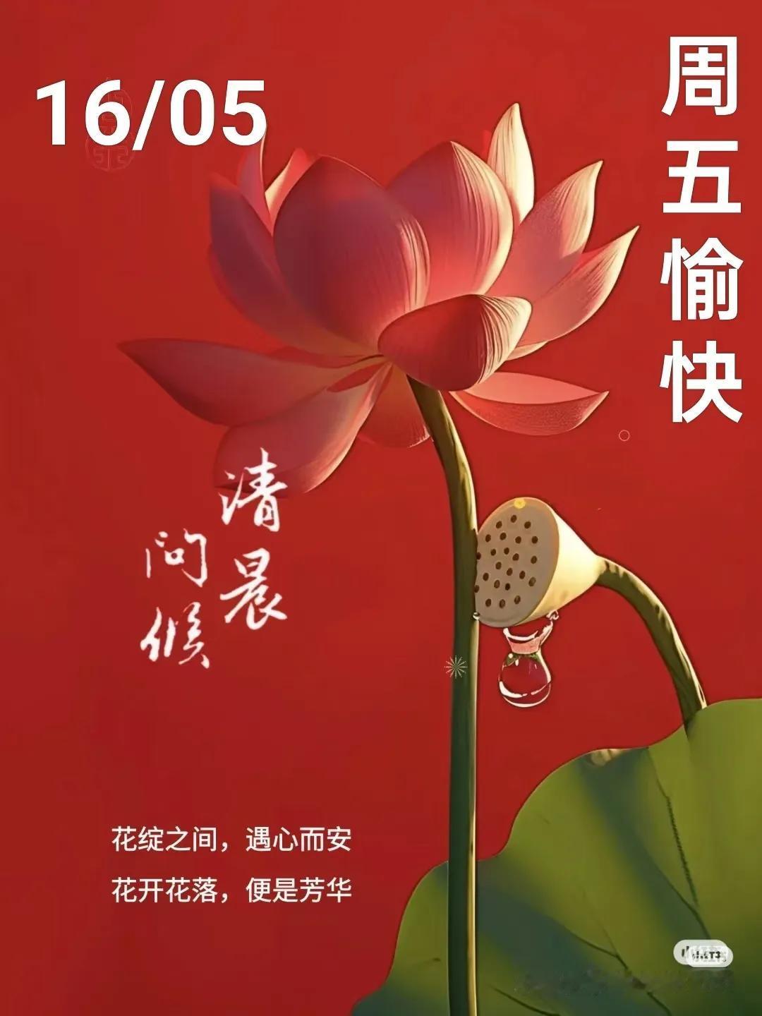 花绽之间，遇心而安  花开花落，便是芳华  早安快乐，平安幸福时光里静得花开 皆