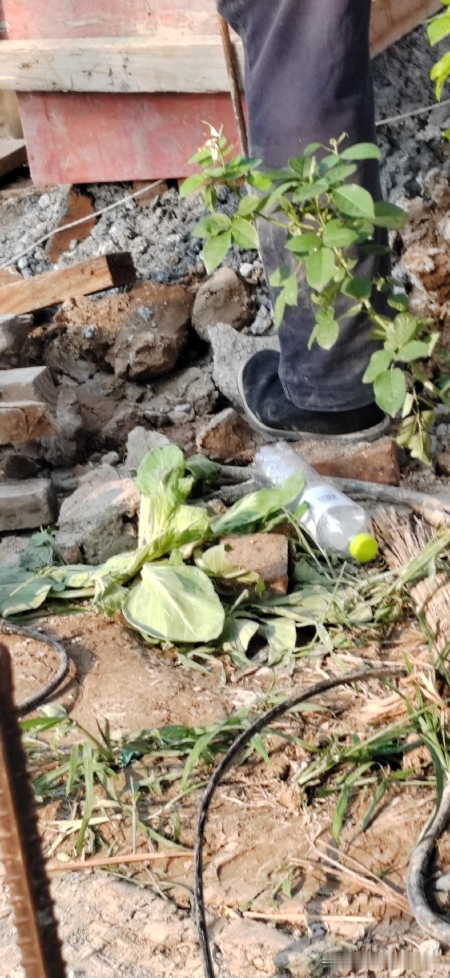 在工地上喝矿泉水喝多了会肚子疼吗？

我在工地上干活，因为天气太热，身上总是出汗