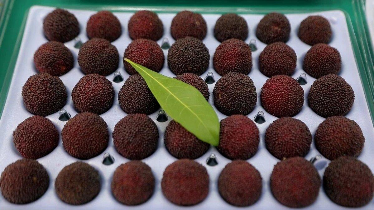 “药水杨梅”对茶饮品牌影响有多大杨梅想要卖到外地，最妥当的办法就是采摘之后直接与