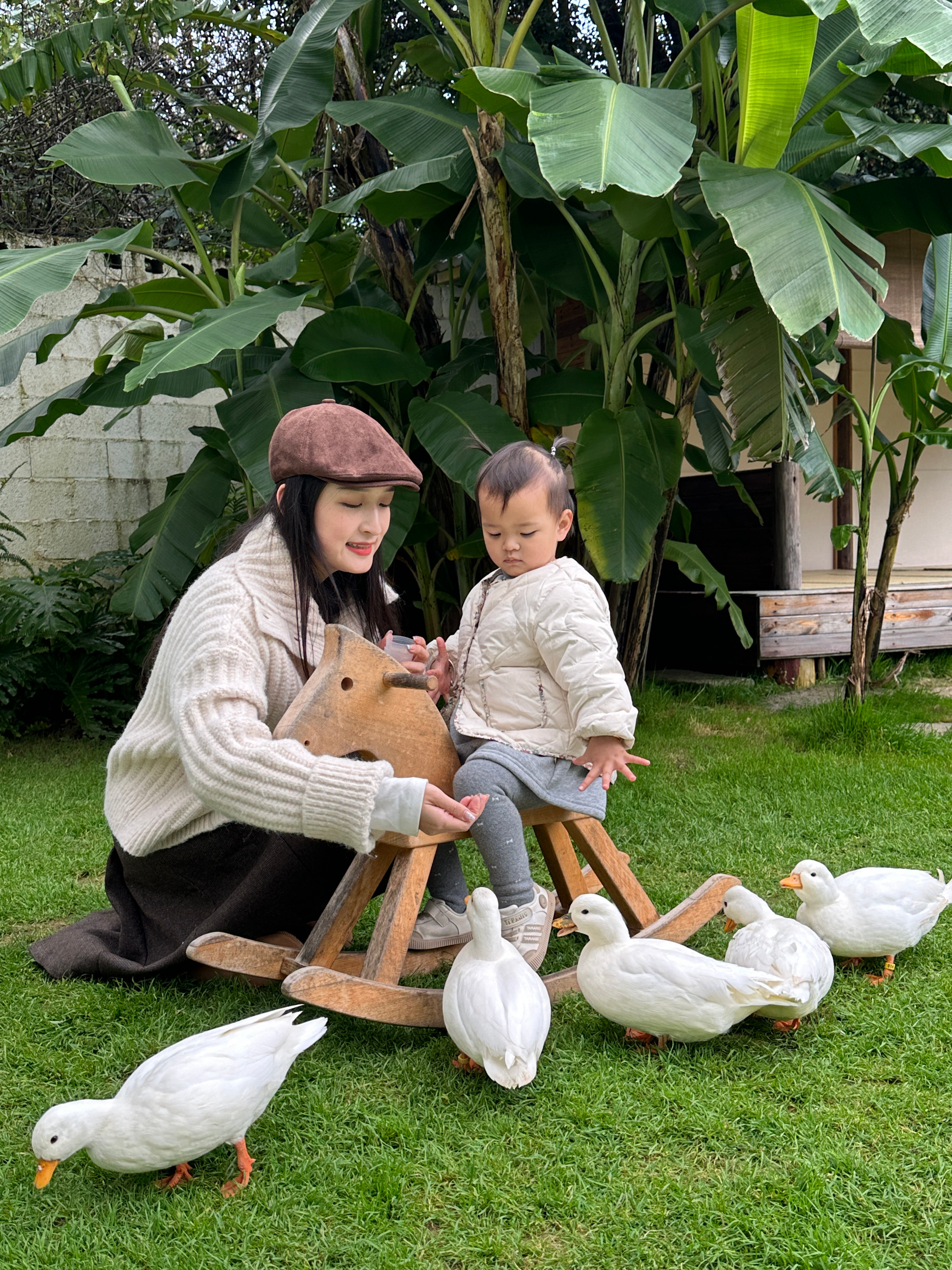 春江水暖鸭先知·🪿🪿 大理