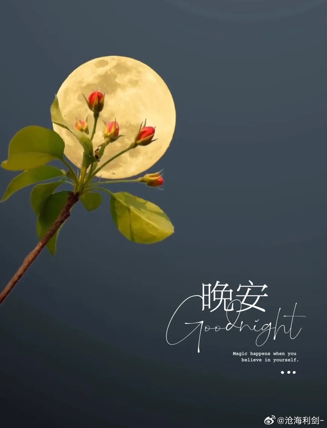 晚安生活或许不会处处如意，但永远值得热情以待。人生漫漫，美好的事物何其多，何必因