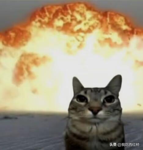 我觉得我是不是太缺爱了，怎么会和一个男生没见过面就聊了二十天就感觉特依赖他，要是