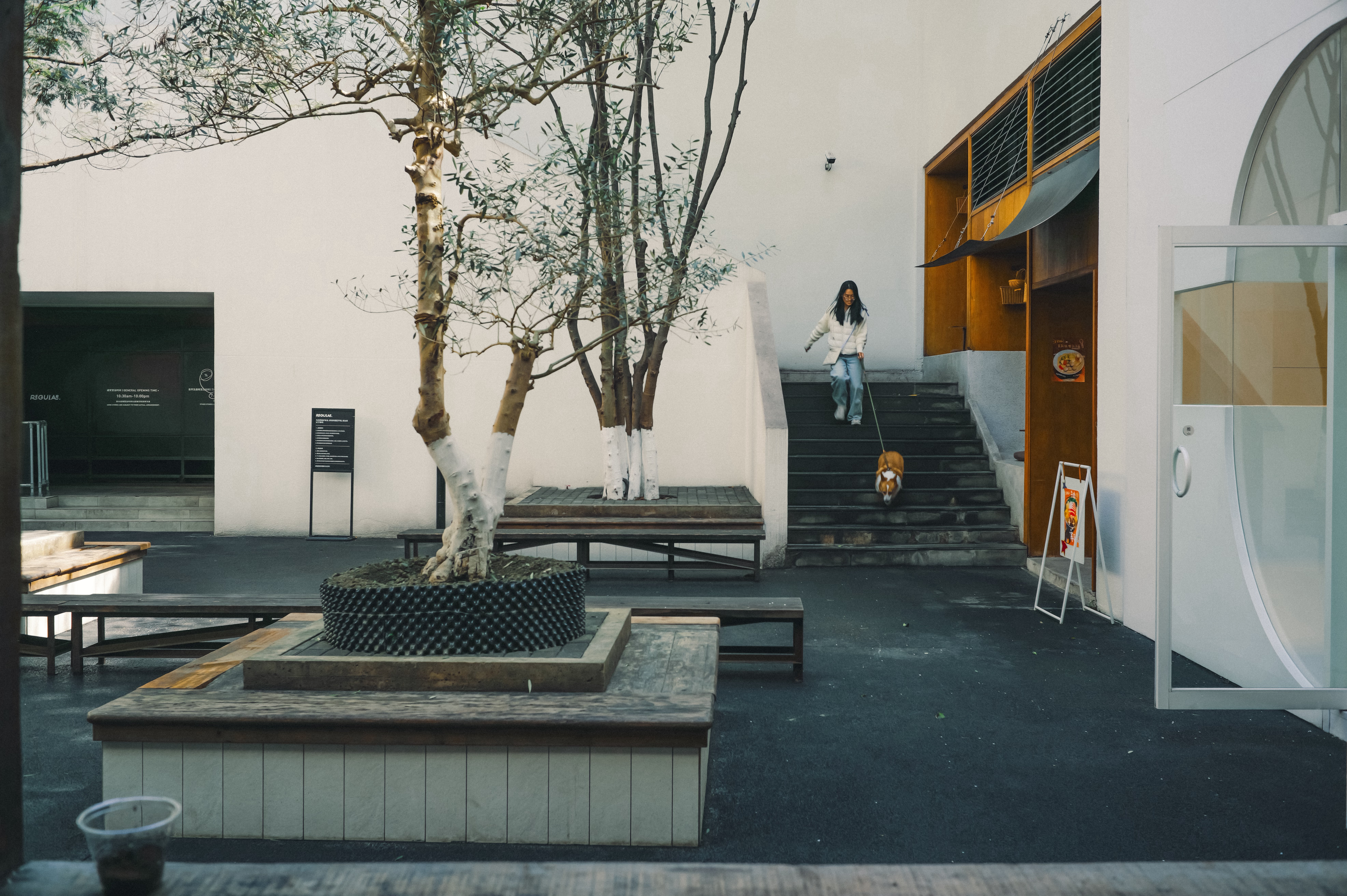 新做了两组关于 Lightroom 的胶片预设，发现很适合成都的安逸📷：🔴S