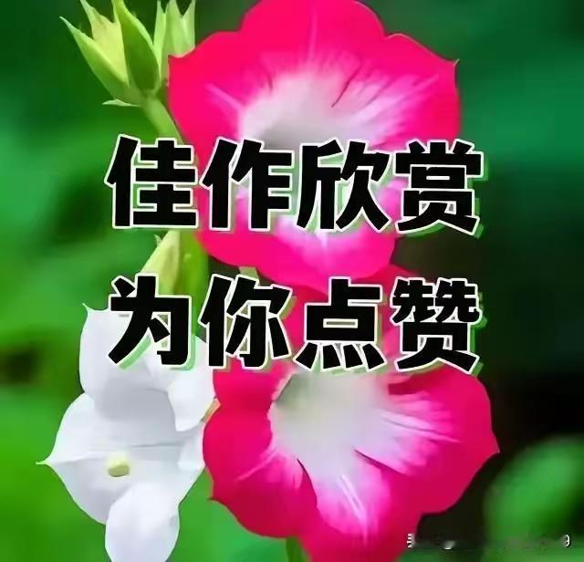 [赞][赞][赞][赞][赞][赞]