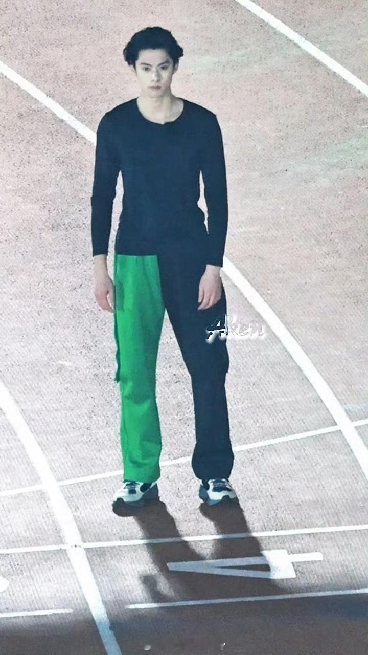 王鹤棣顶级头身比🈶 