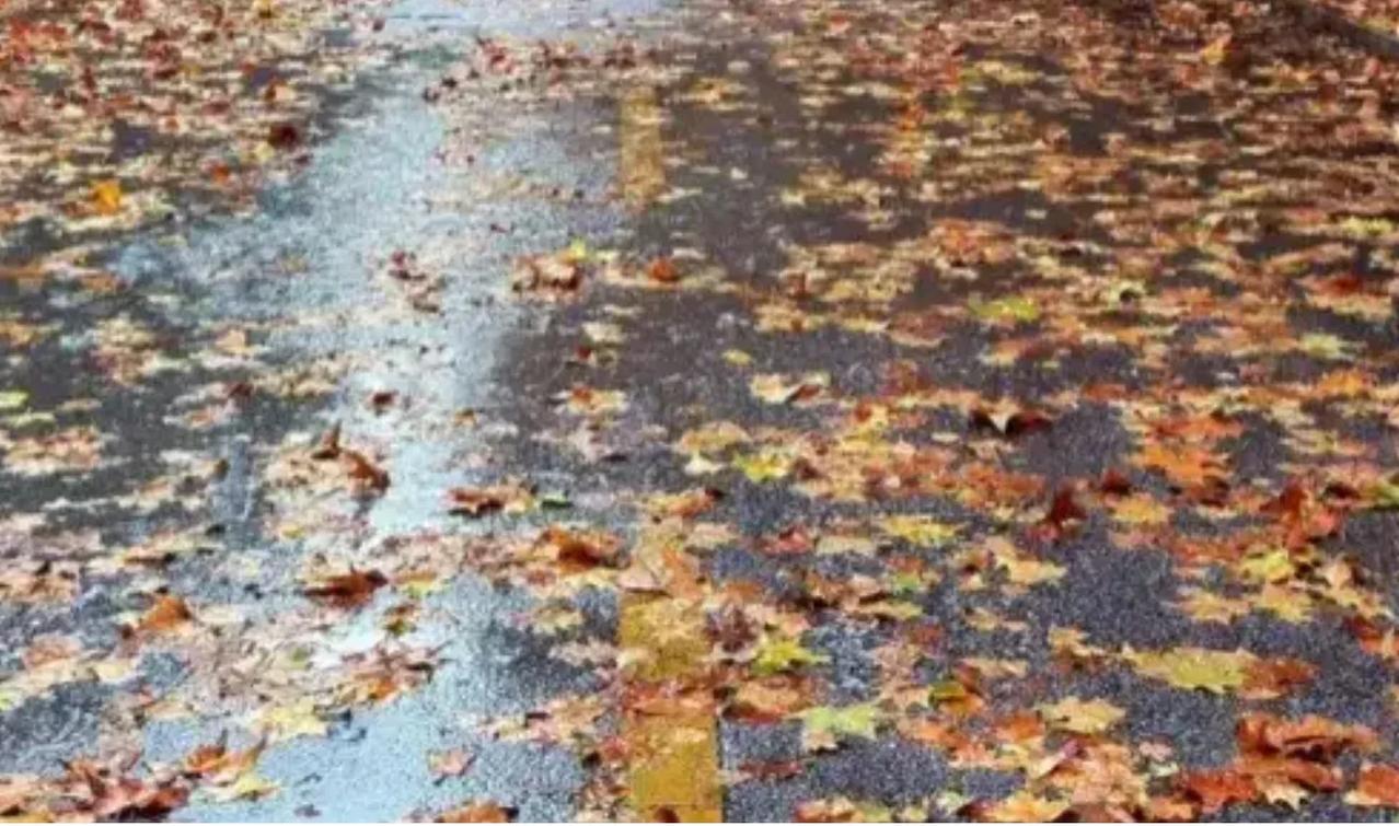 寒夜听冬雨（珠乡小女）

冬雨在寒夜幽咽，
敲打着窗棂，如诉如怨。
黑暗中，我睁