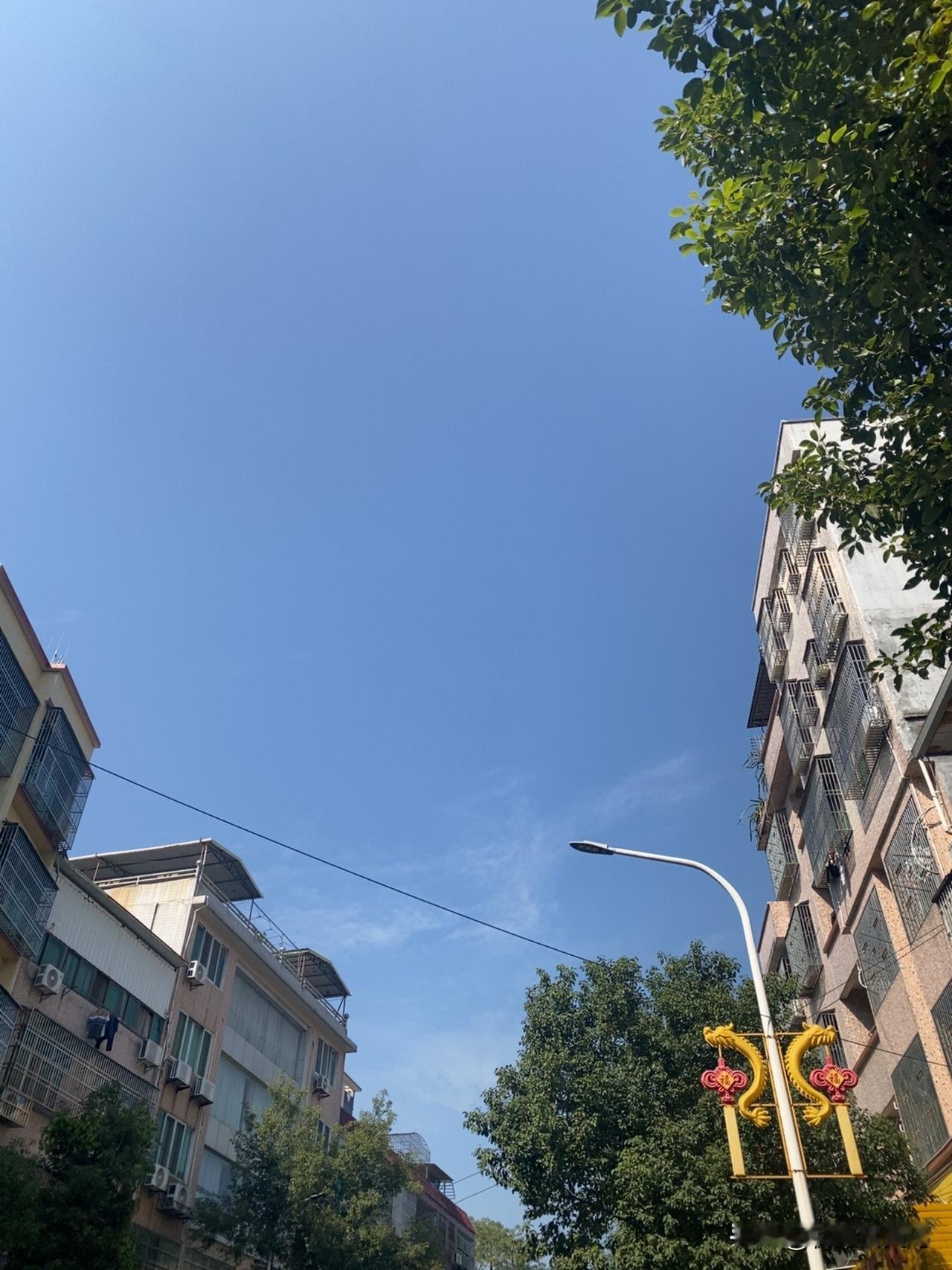 抬头看的时候，阳光晃得人眼睛都眯起来，旁边老居民楼的墙皮、路边的绿树，跟这蓝天衬