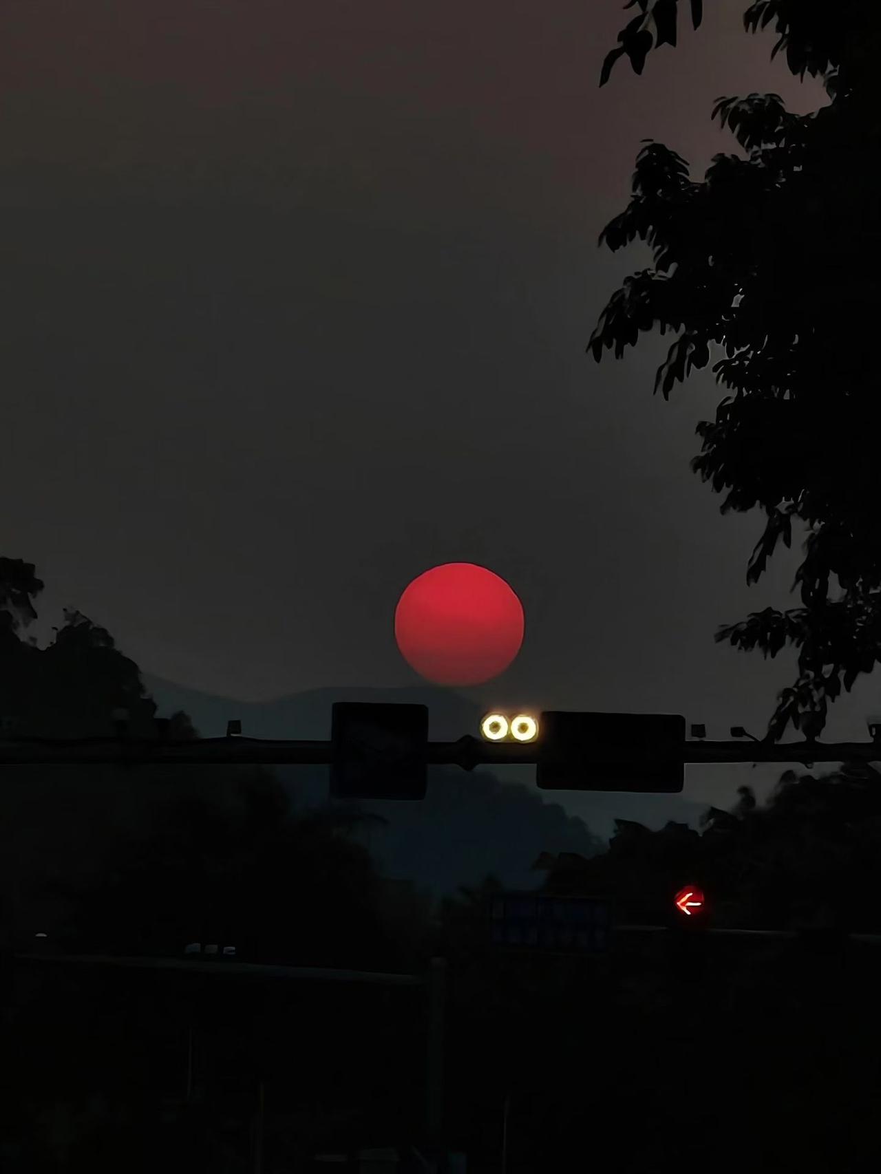 《七律～甜言蜜语人皆喜》

道德犹闻伐罪铭，
虚言自古绝无停；
文章不写歌功颂，