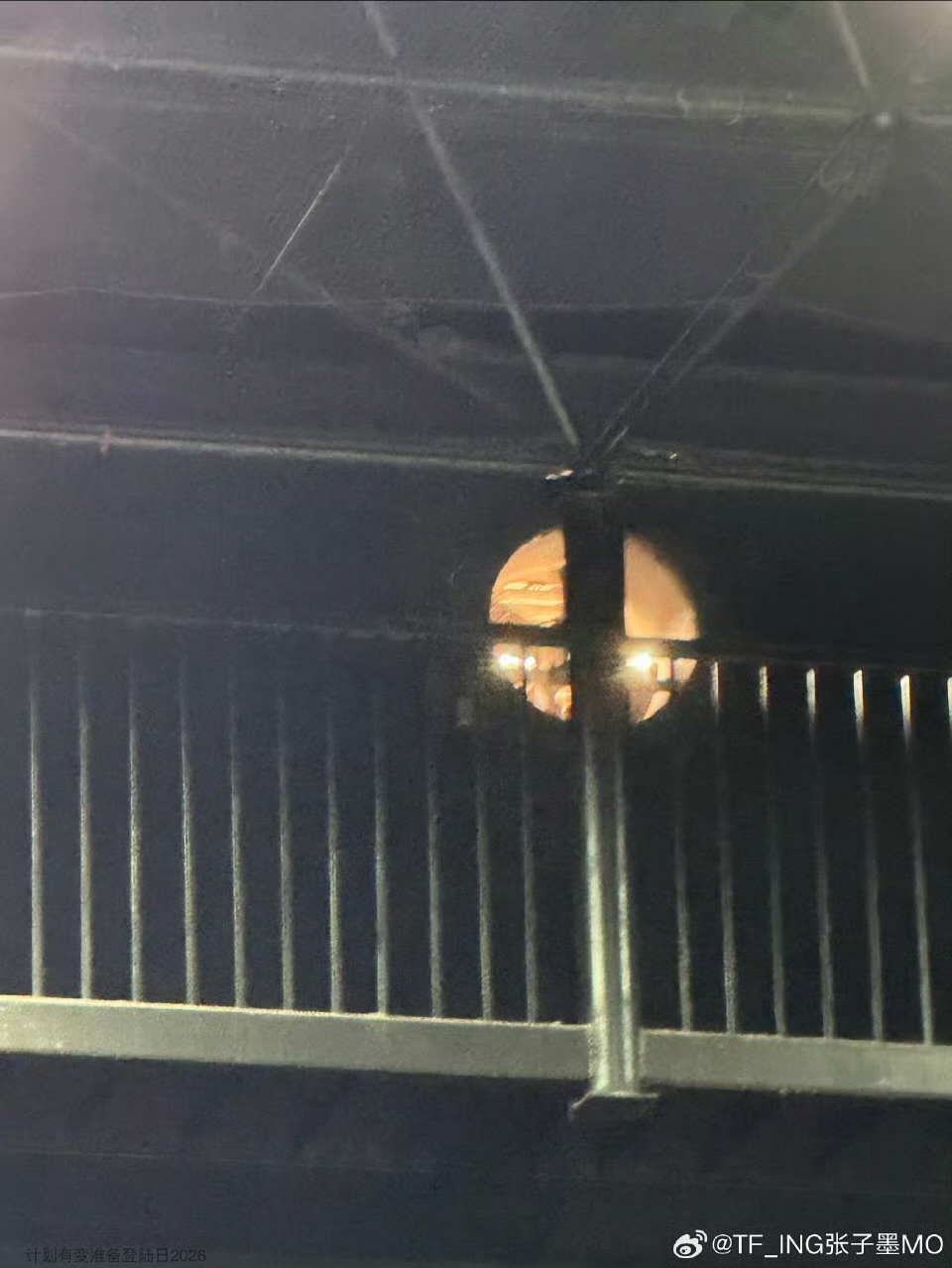 娱乐张子墨荣耀之战变登陆日2026张子墨荣耀之战最大的瓜主 这个滋滋腻才是荣耀之