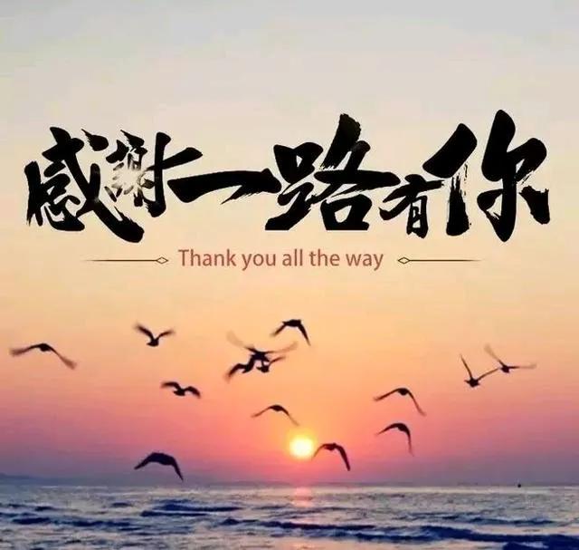 年终回望，新年寄语。。。
       上头条虽有七年之久，但真正心写文字，自去
