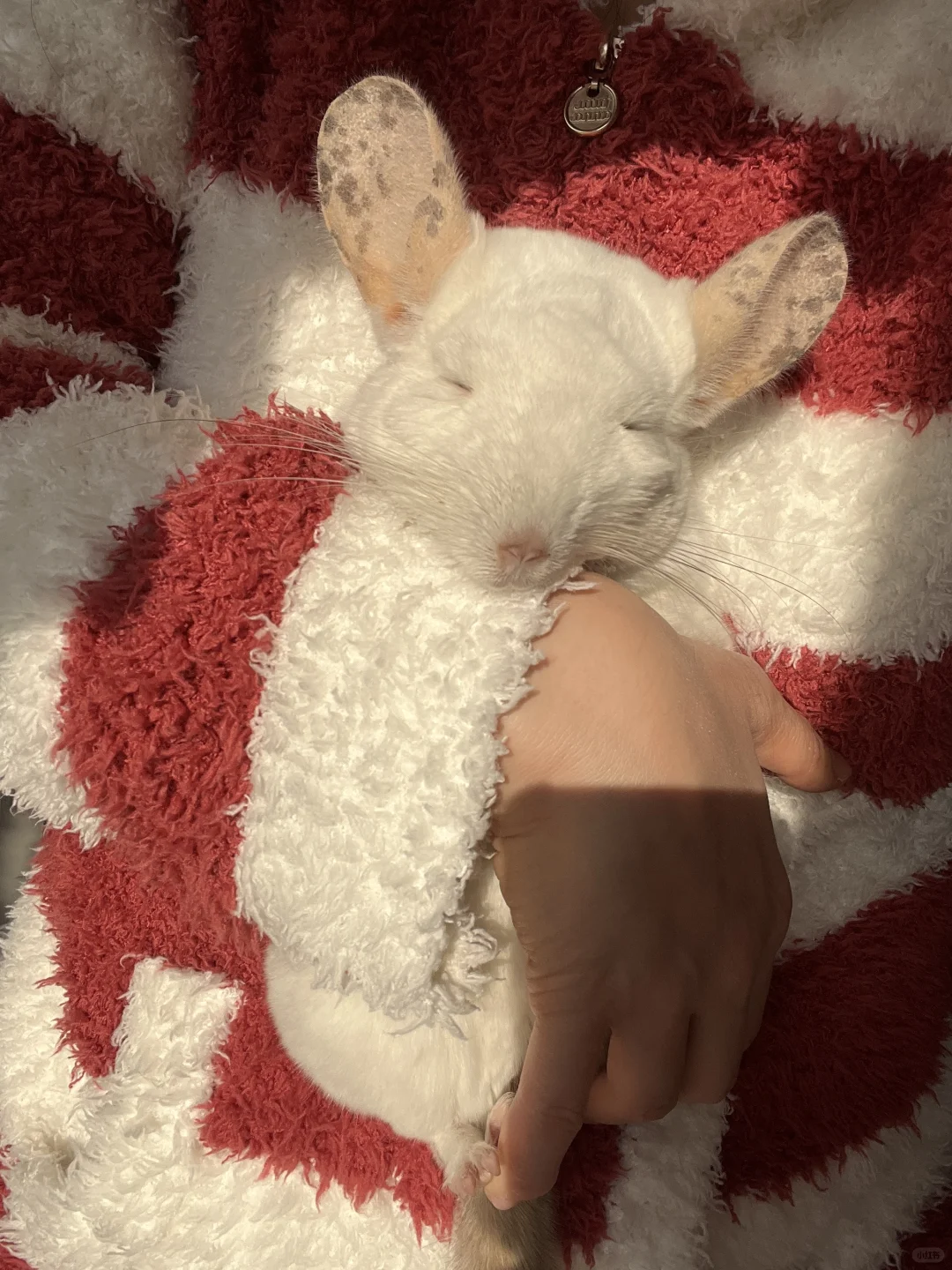 抱孩子晒晒太阳