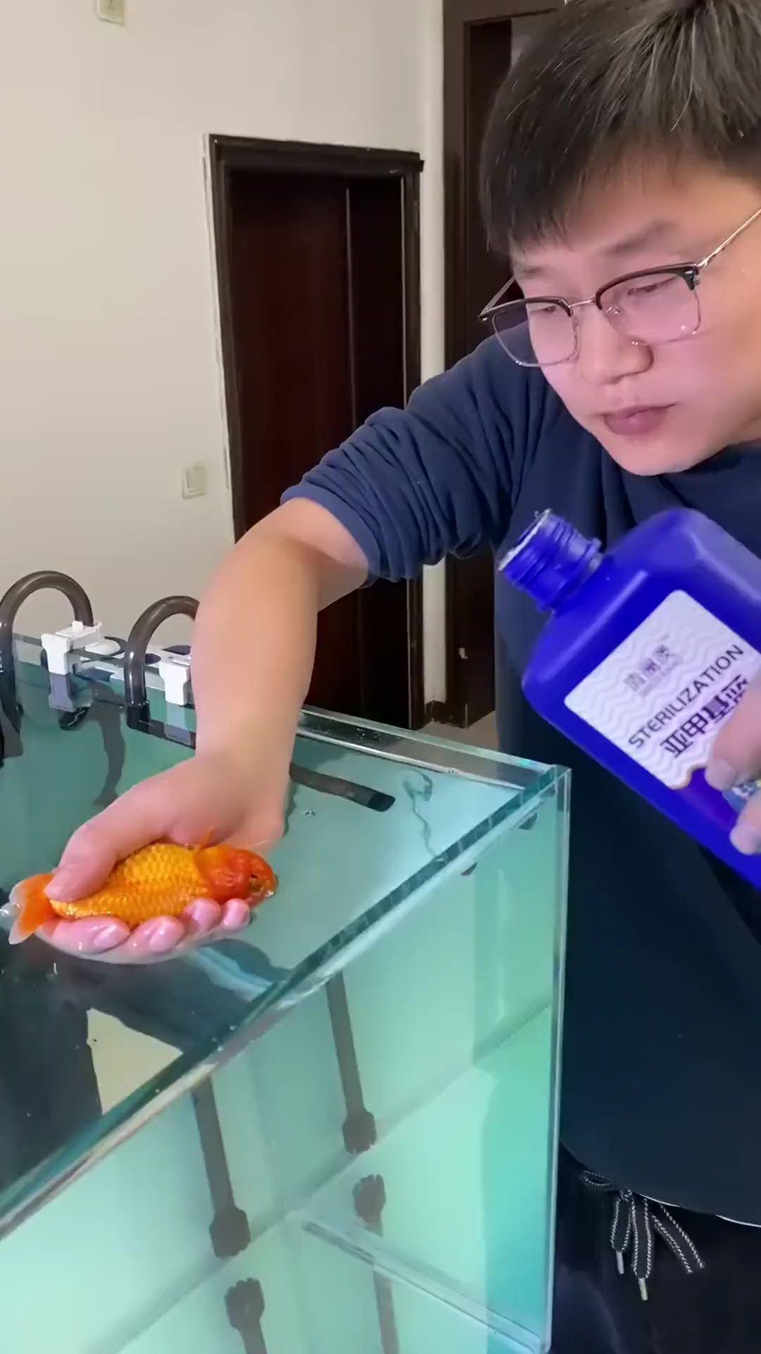 养鱼爱鱼。更要护鱼，亚甲基蓝，水族箱里的健康小卫士，快速杀菌除真菌，为...