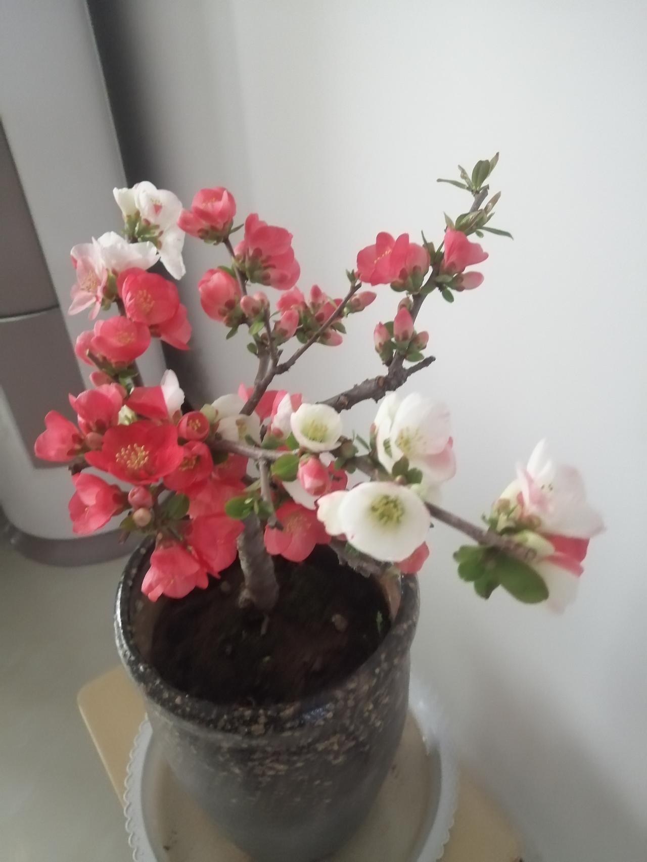 普通人的人生意义，从来都不是“成为谁”，而是从日常琐碎点滴中做好自己，在人间烟火