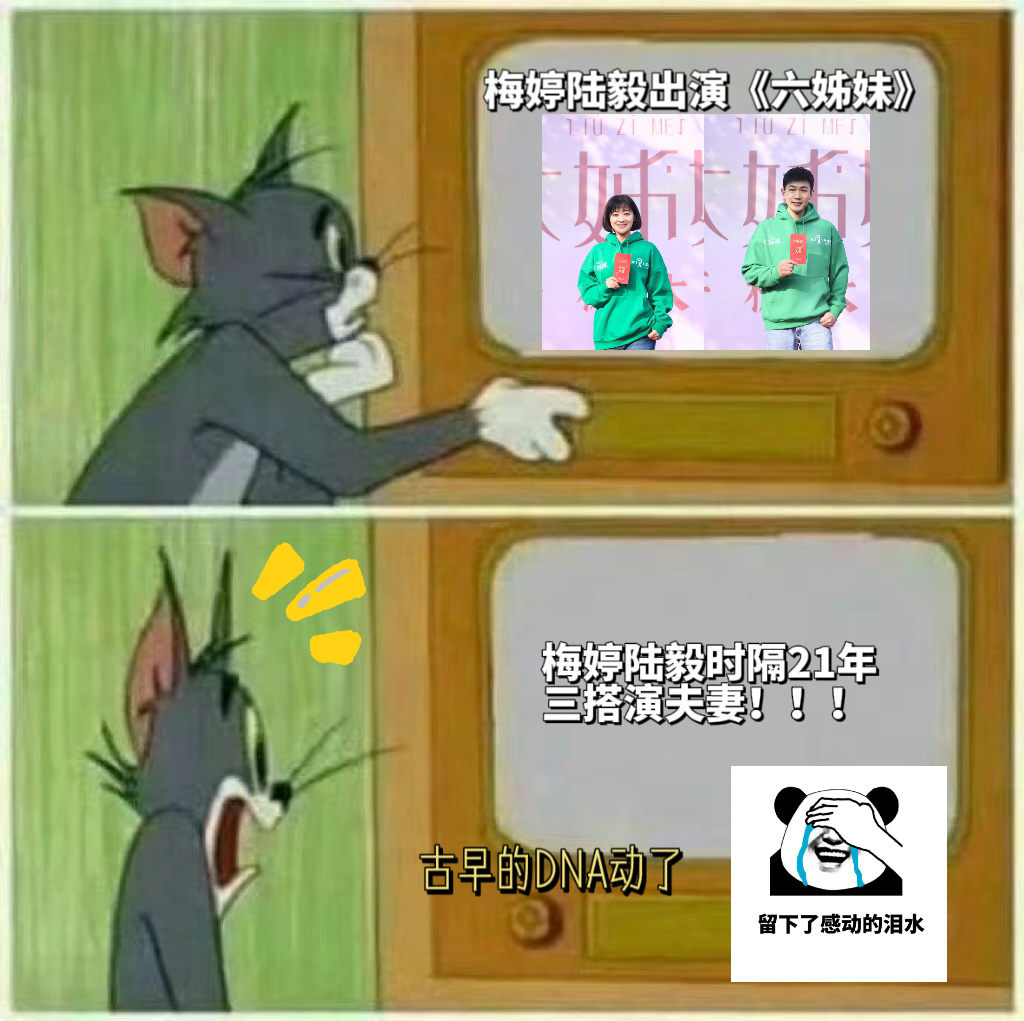 #梅婷陆毅时隔21年再搭演夫妻##梅婷陆毅三搭# 没想到N年后还能看到梅婷陆毅三