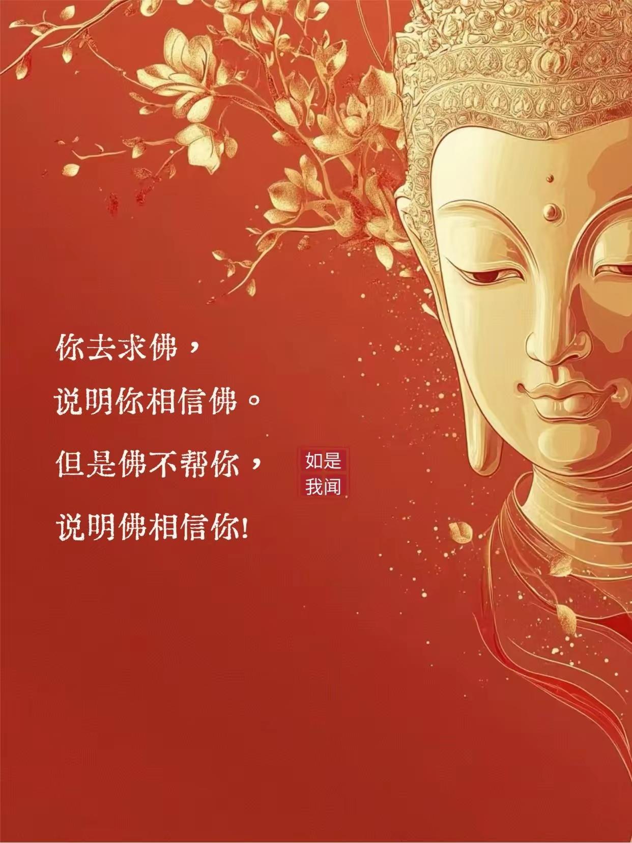 信佛的人，怎么说都是佛有理。不信佛的人，只相信一切要靠自己[祈祷]。