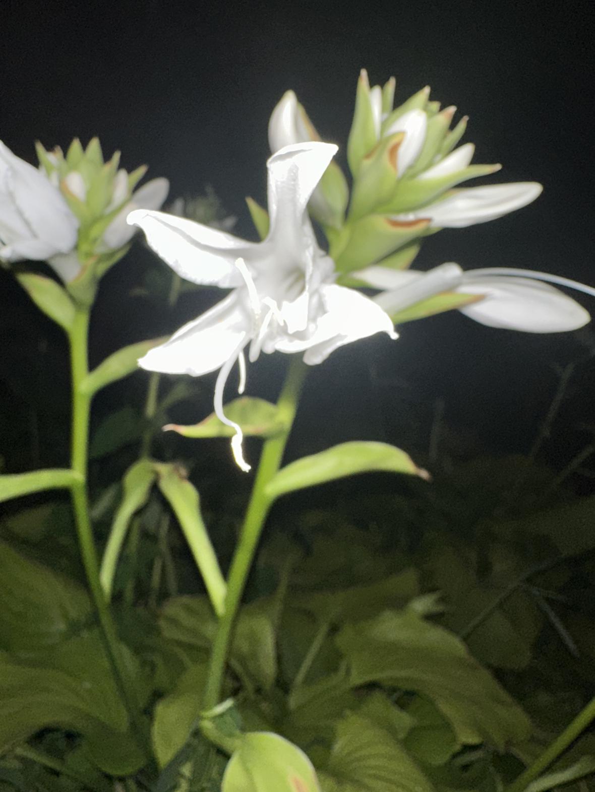 我的今日状态：😁轻松愉快
我这里的天气：☀️晴天