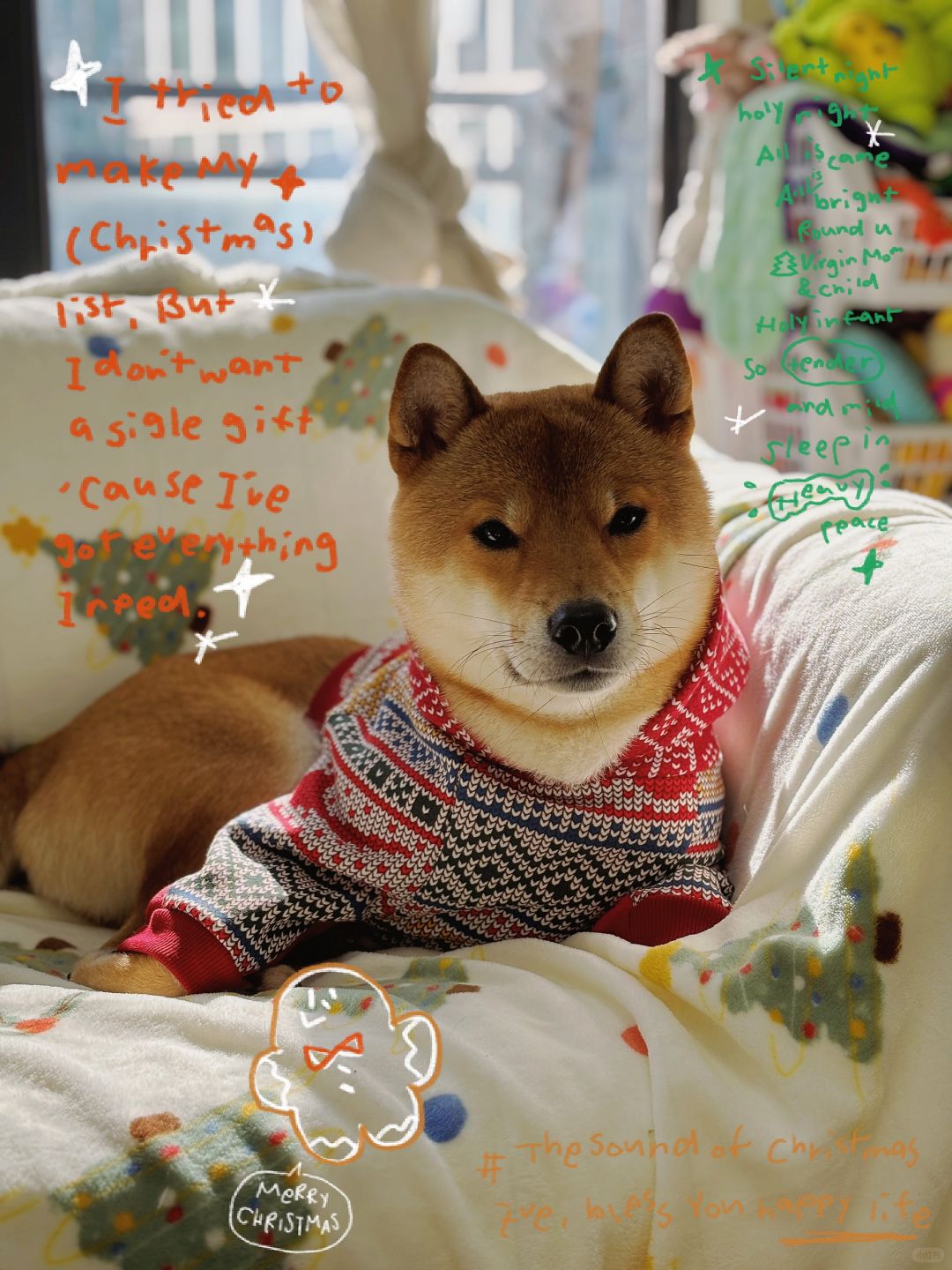 圣诞节和小狗在家怎么过🎄