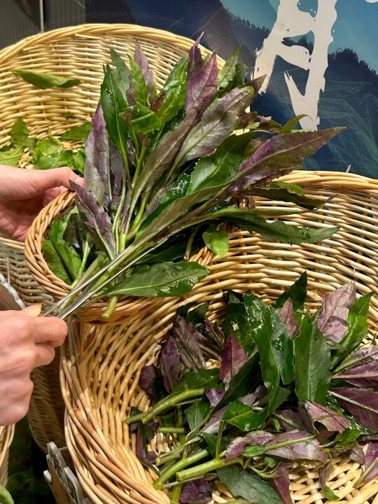 在厦门！！原来山野菜还可以这样吃….