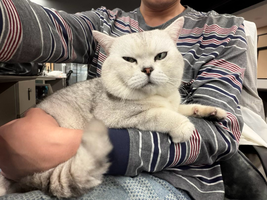 上班又被同事骚扰啦谁要上班呀