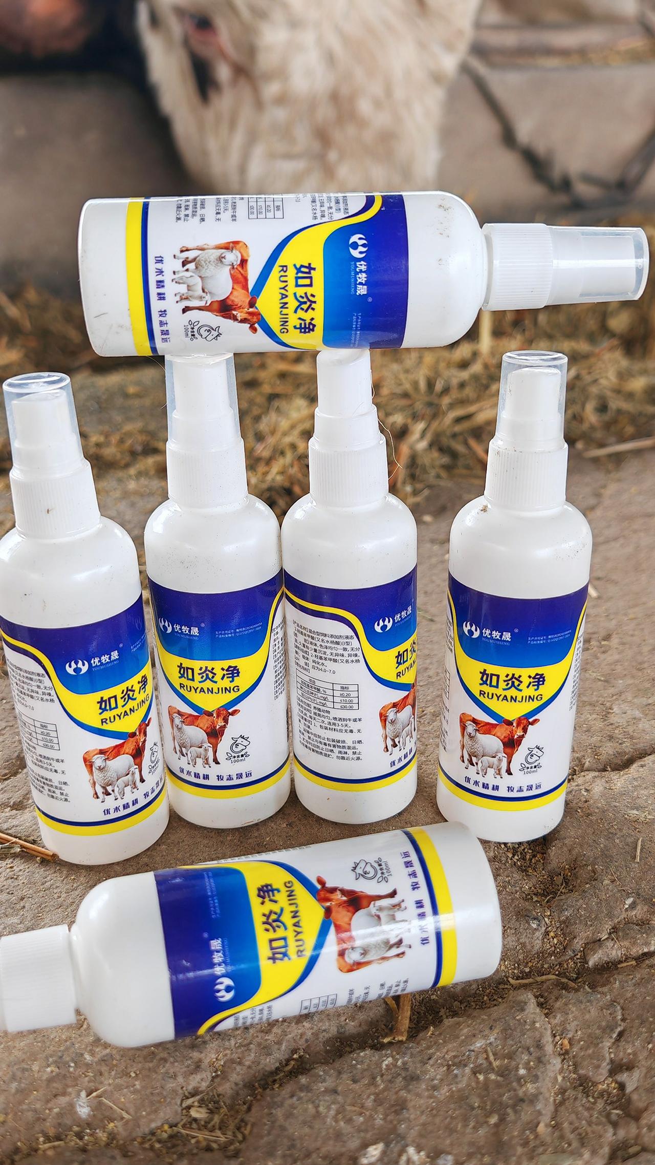 养羊人 农村养羊 牛羊养殖