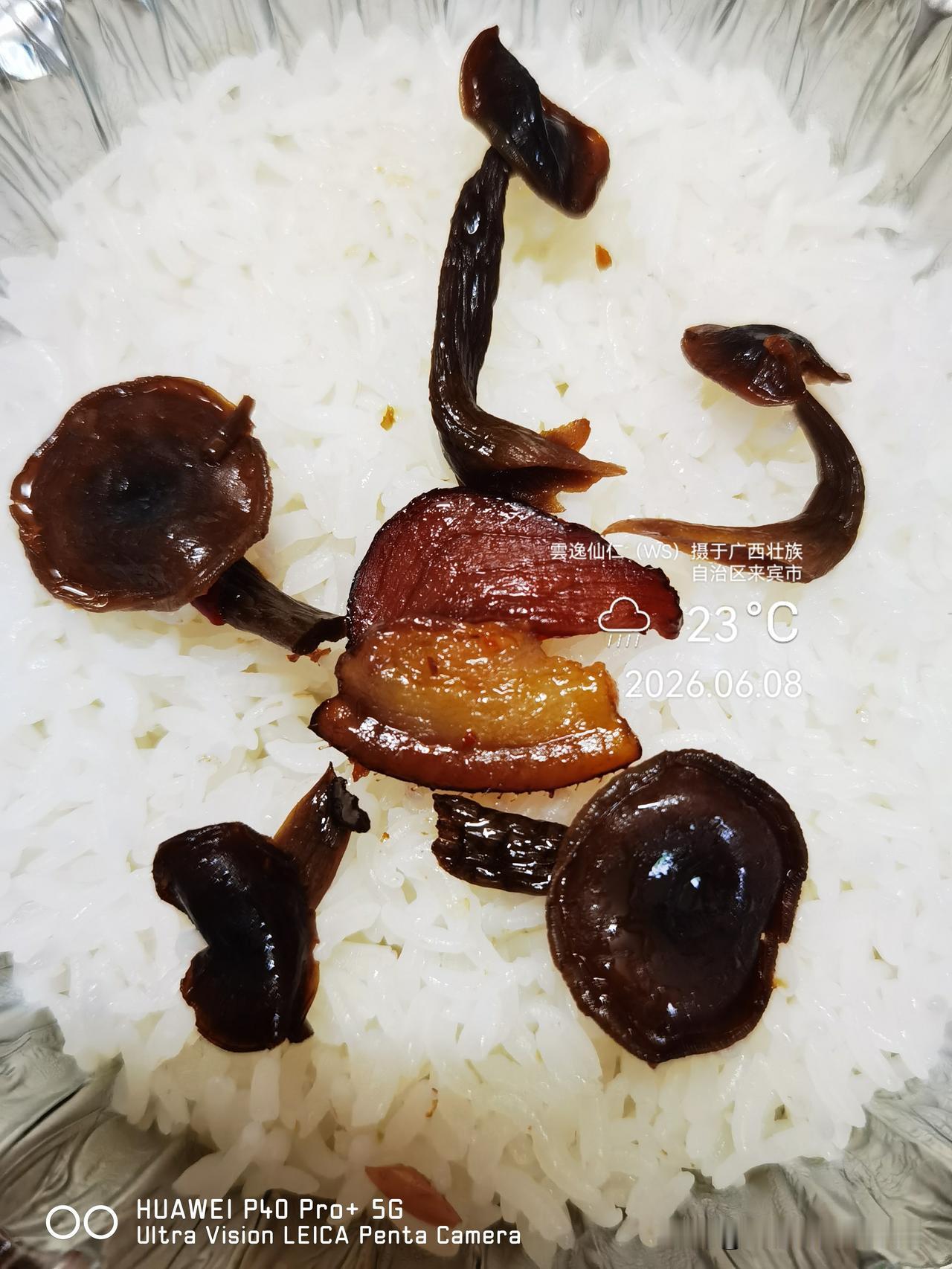 月居生活记录（9864）广西壮族自治区来宾市（89）品尝小吃39：鹿茸菌炒腊肉+