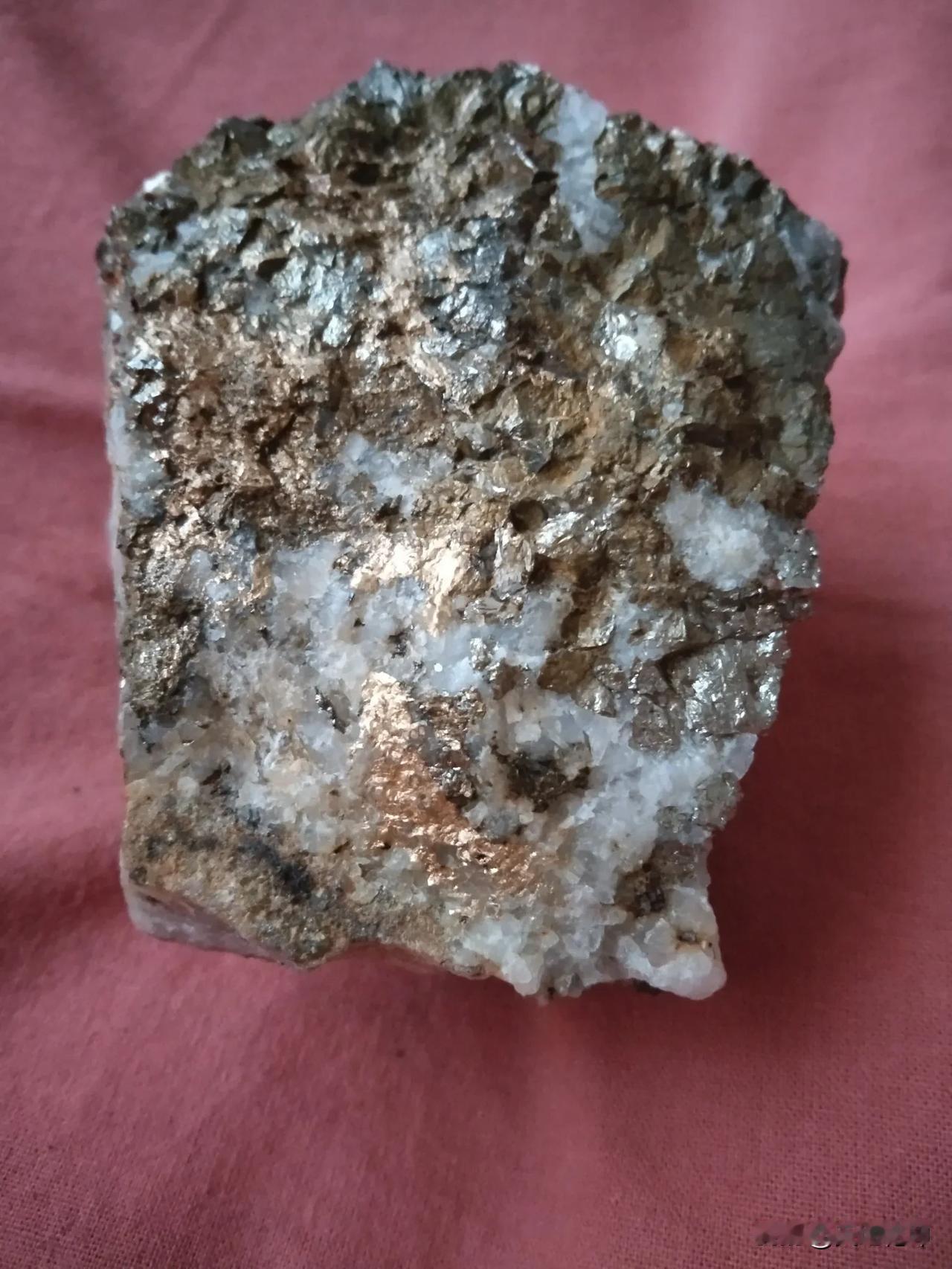 今天去山里溜达，走着走着，突然看到地上有个东西金光闪闪的。我好奇地走过去一看，好