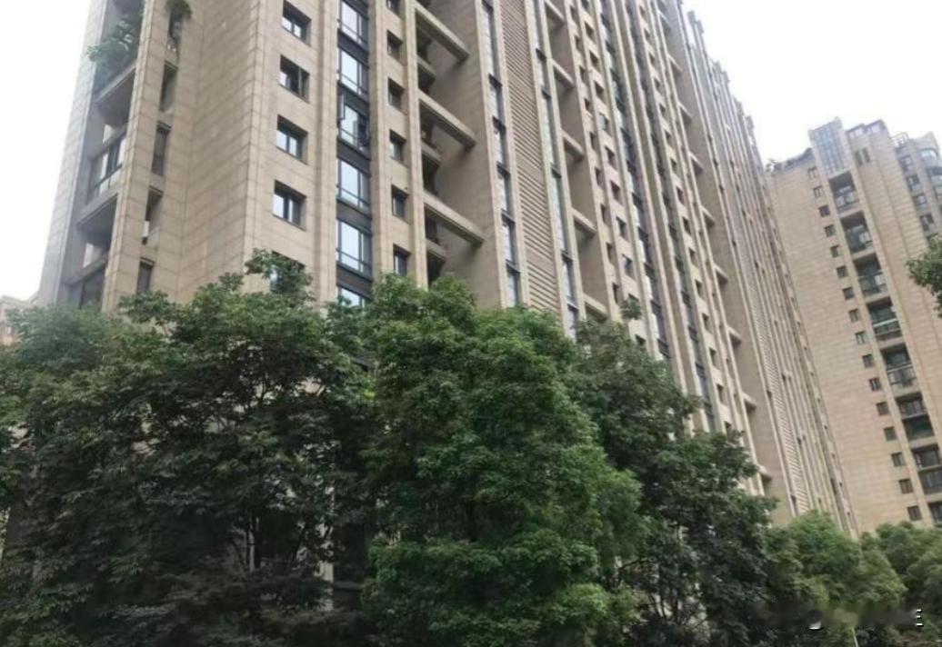 白嫖上瘾了！四川成都，男子花光积蓄才买了一套法拍房，没想到，原房主竟然利用买卖不