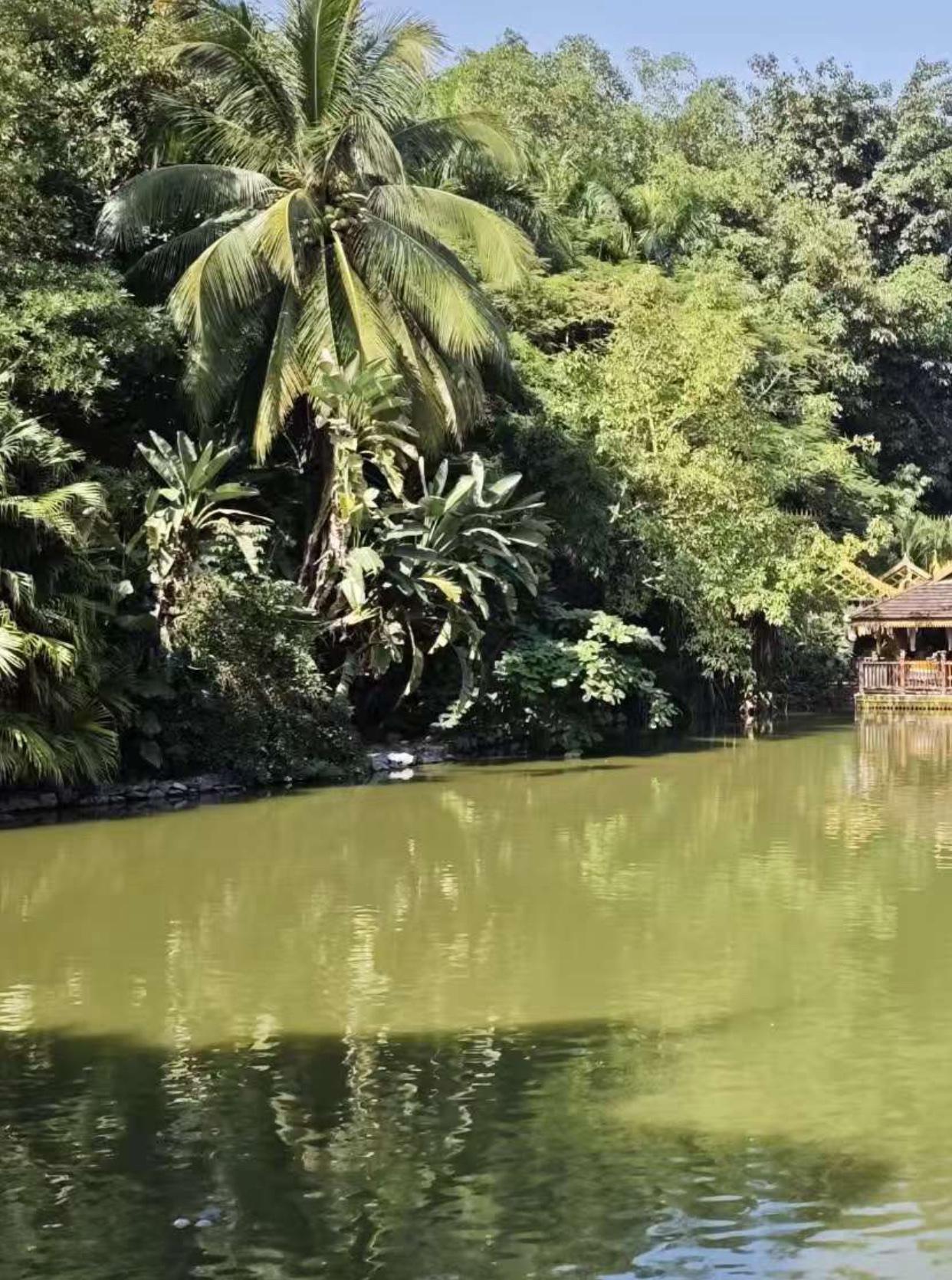 上联：绿树荫里听蝉噪，请对下联我对的下联是，翠荷风中闻蛙鸣。