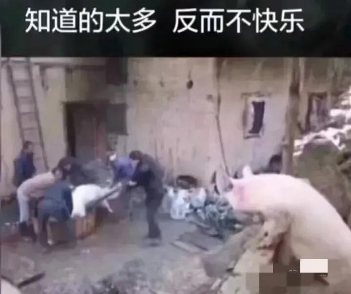 很多时候做一个糊涂鬼也不错，知道的太多反而对你也没啥好处。

#原来明白的太多#