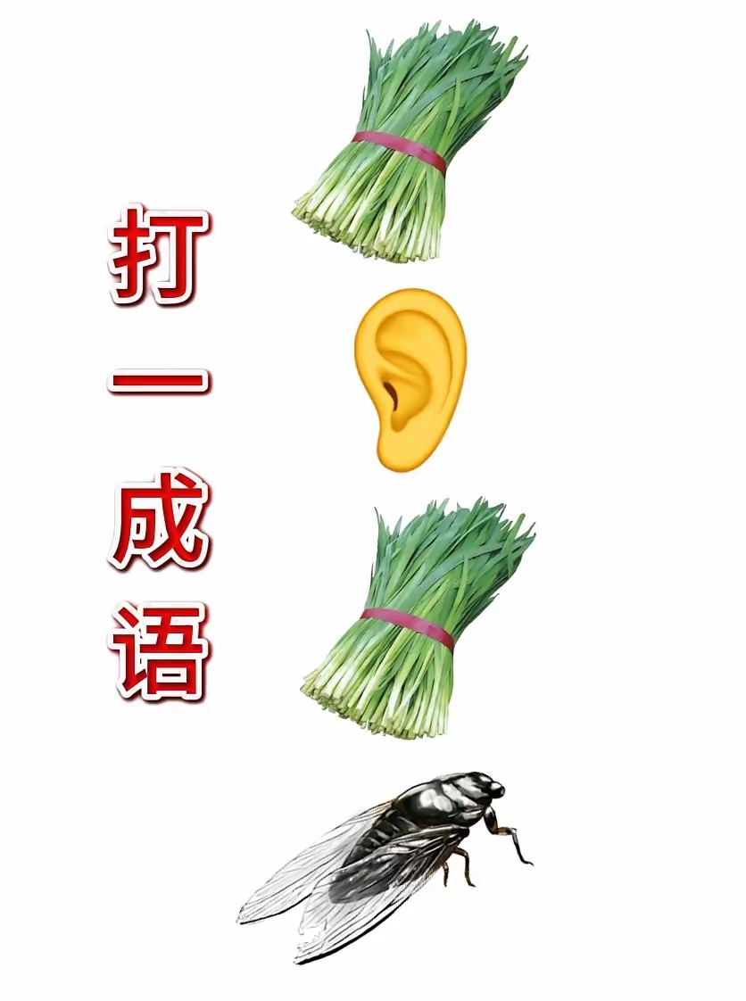 韭菜，耳朵，韭菜，知了，这四种怎么组合到一起，真把我难住了，我问家族群里的亲友，