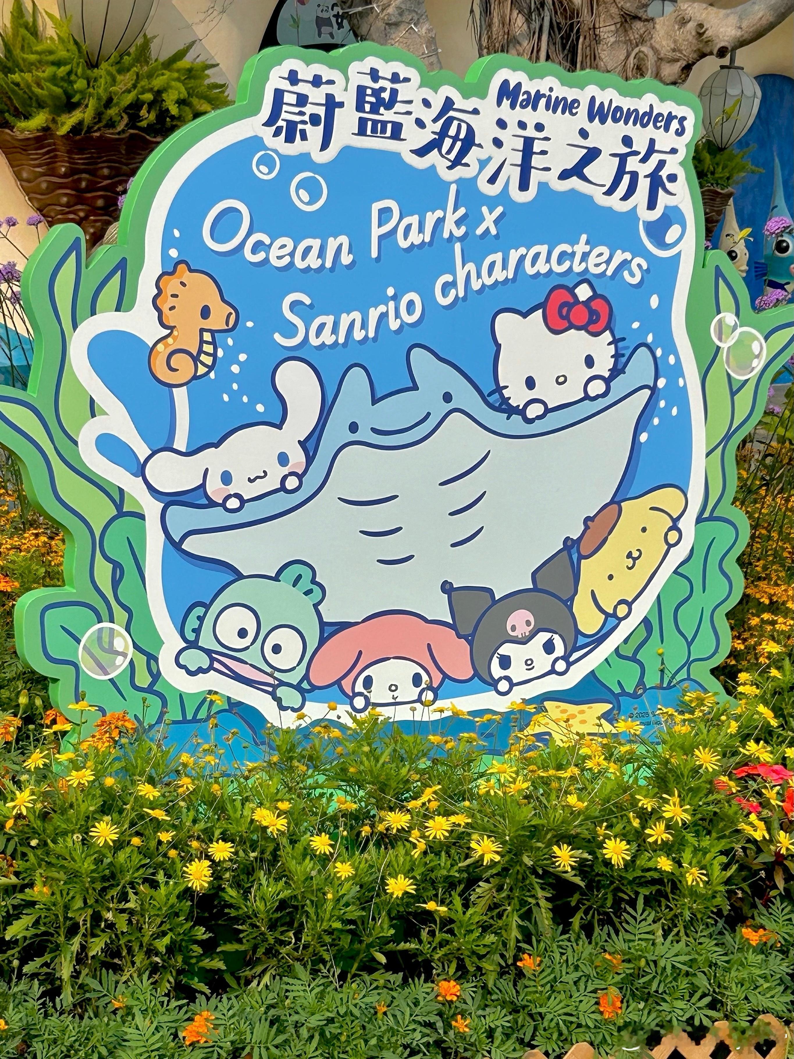 🫧🐋最喜欢的颜色暂时变成了蓝色 