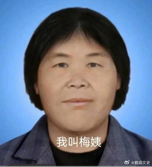 梅姨被逮捕臭名昭著的人贩子终于被抓获啦 