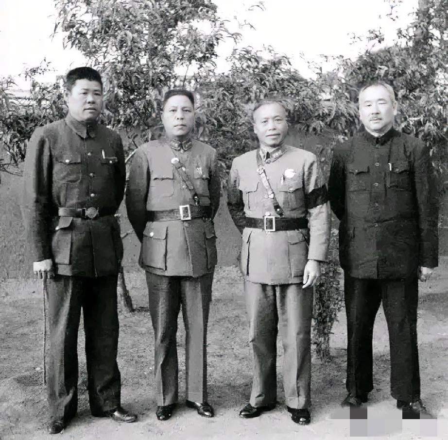 不是我吹！这几位老前辈中可以认出两位，绝对是历史课代表。