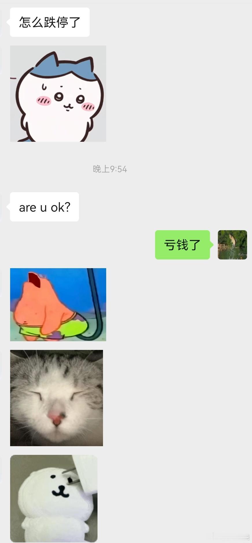 我家孩子都知道GS跌停了，放学回家先问我还O不OK 