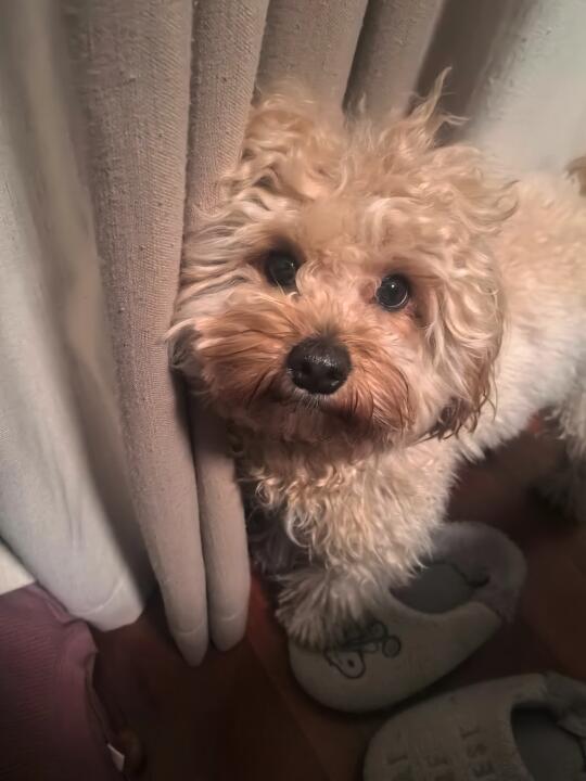 今日份晚安