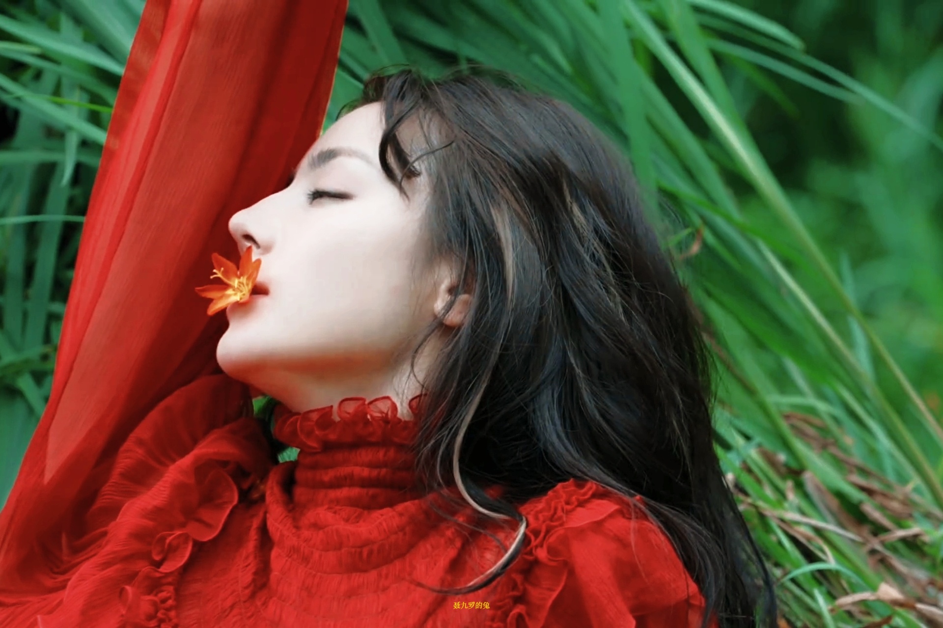 🌹红石榴花❤️🔥迪丽热巴不愧是迪不修迪丽热巴摄影是范欣