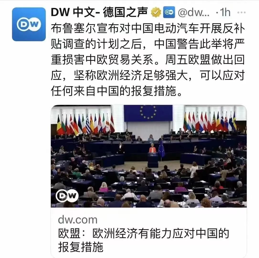 中欧新能源汽车，谁能笑到最后